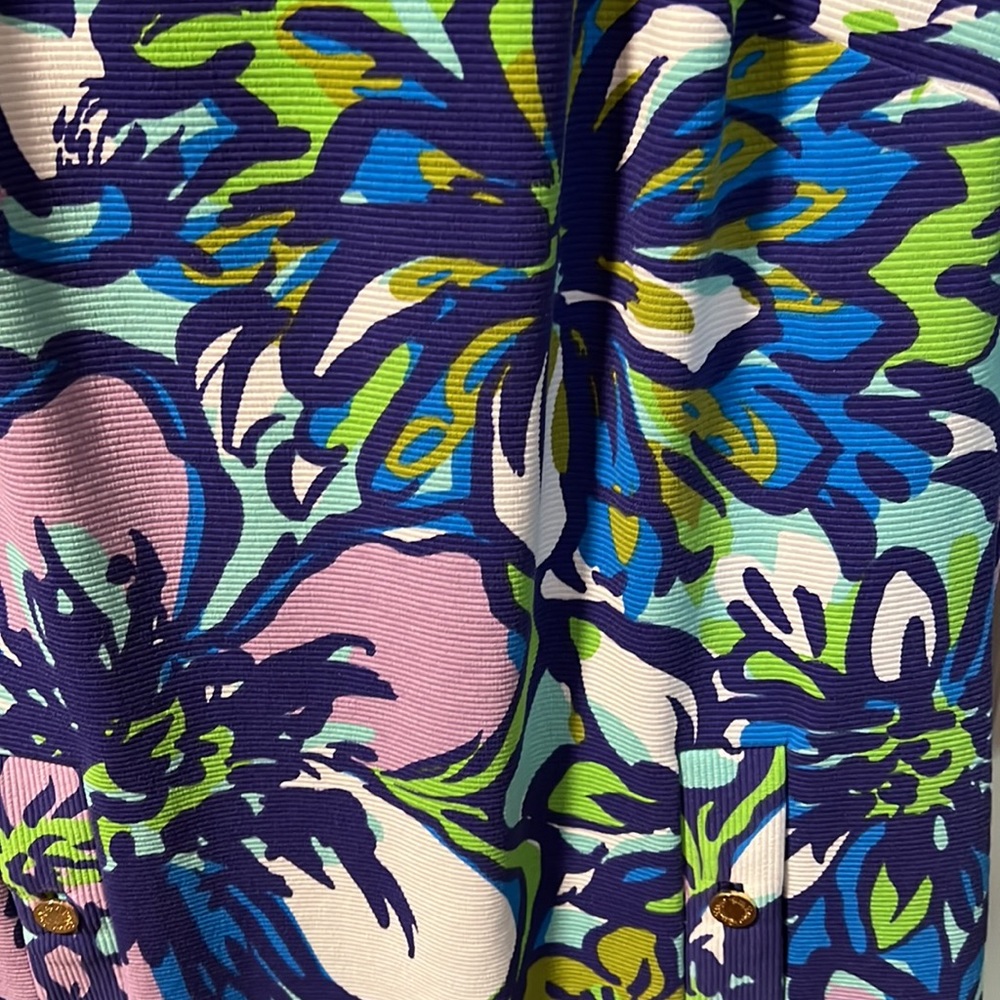 Lilly Pulitzer dress - Picture 4 of 6
